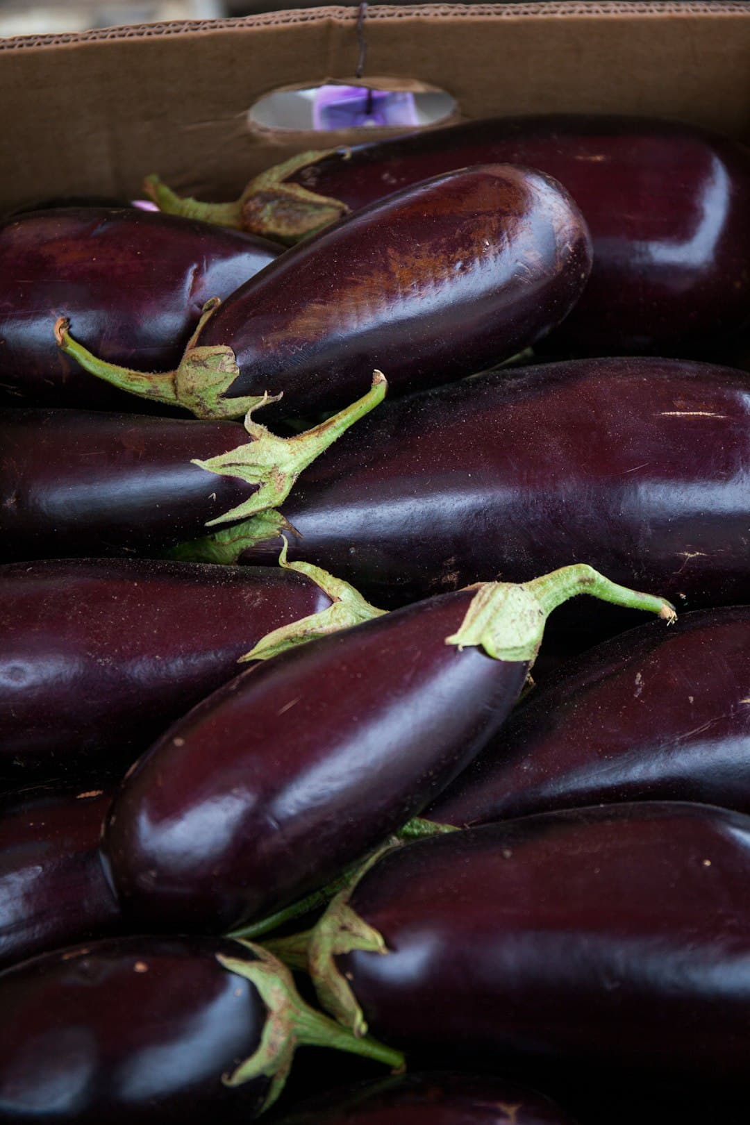 Eggplant Parmesan